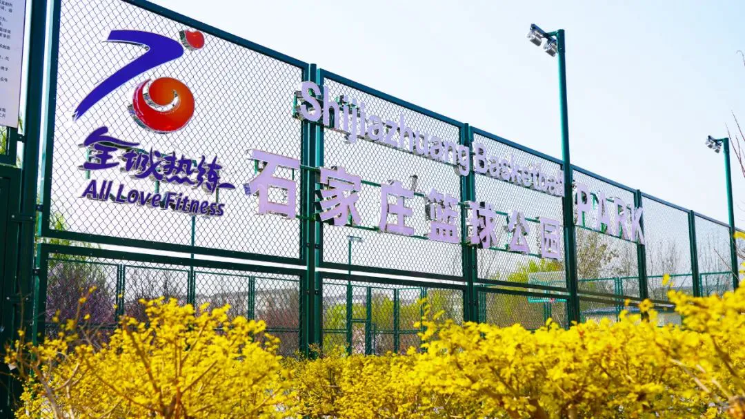 为什么一些职业球员罚球命中率不高?_0